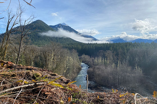 a river surrounded by leafless trees in winter, with low clouds and mountains in the background